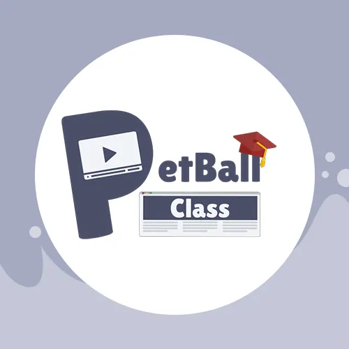 index-PetBall.webp